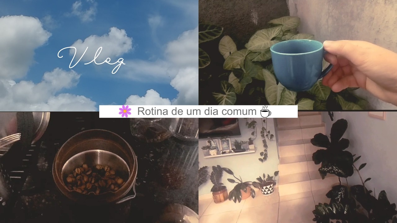 Rotina de um domingo comum