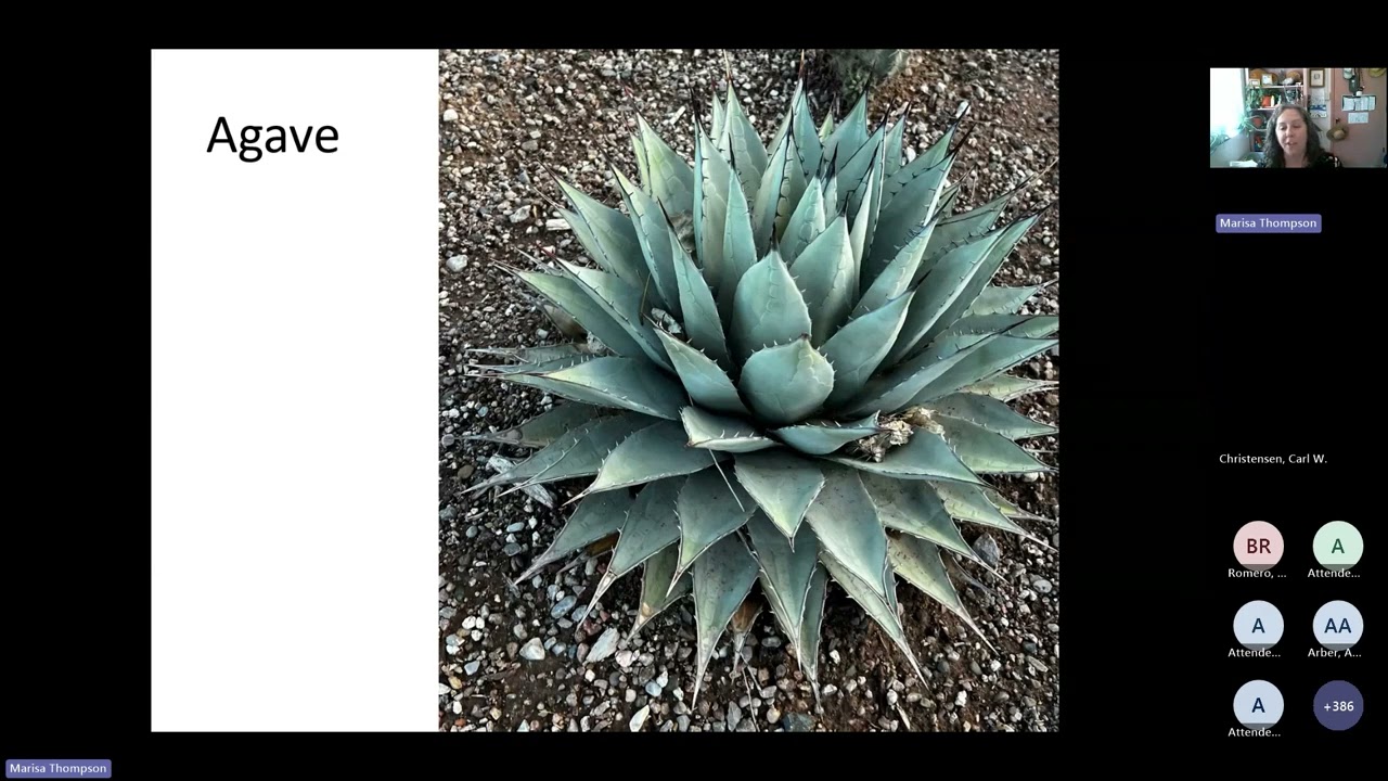 Webinar: Plant Adaptations to Heat & Drought