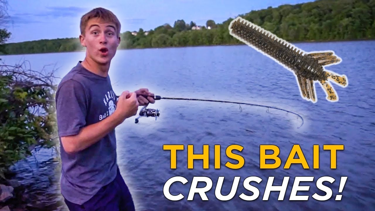 This Bait Catches EVERYTHING! | Unreal Multi-Species Fishing
