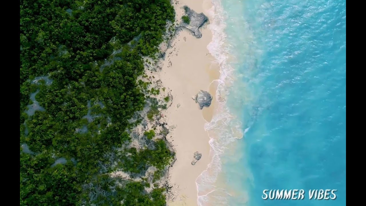 Chill Summer Vibes Tropical Vibe Chill Music