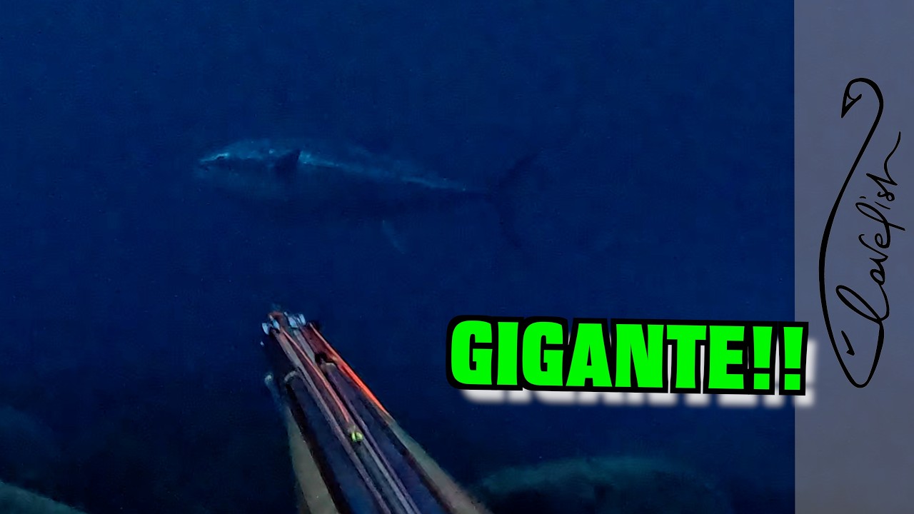 HO INCONTRATO UN PESCE ENORME!