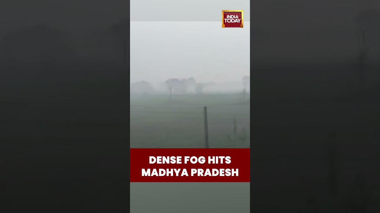 #airpollution #madhyapradesh Chhatarpur City Covered in Thick Fog, Visibility Reduced