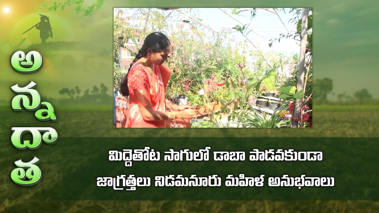Terrace gardening tips on beds by lady farmer | ETV Telugu