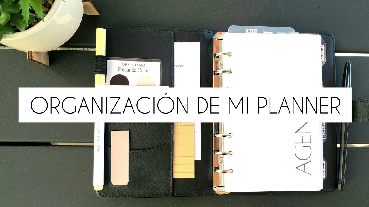 Organización de Mi Planner A6 | Miss Planner