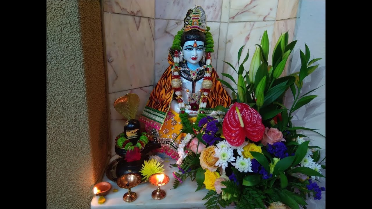 Diwali Celebration in South Africa