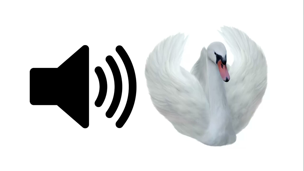 Swan - Sound Effect | ProSounds