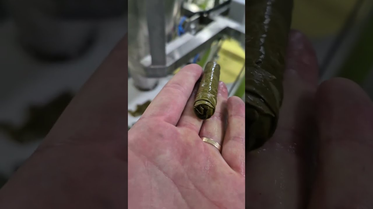 Grape Leaf Wrapping Machine - Stuffed Machine -Dolma Machine - Yaprak Sarma Makinası