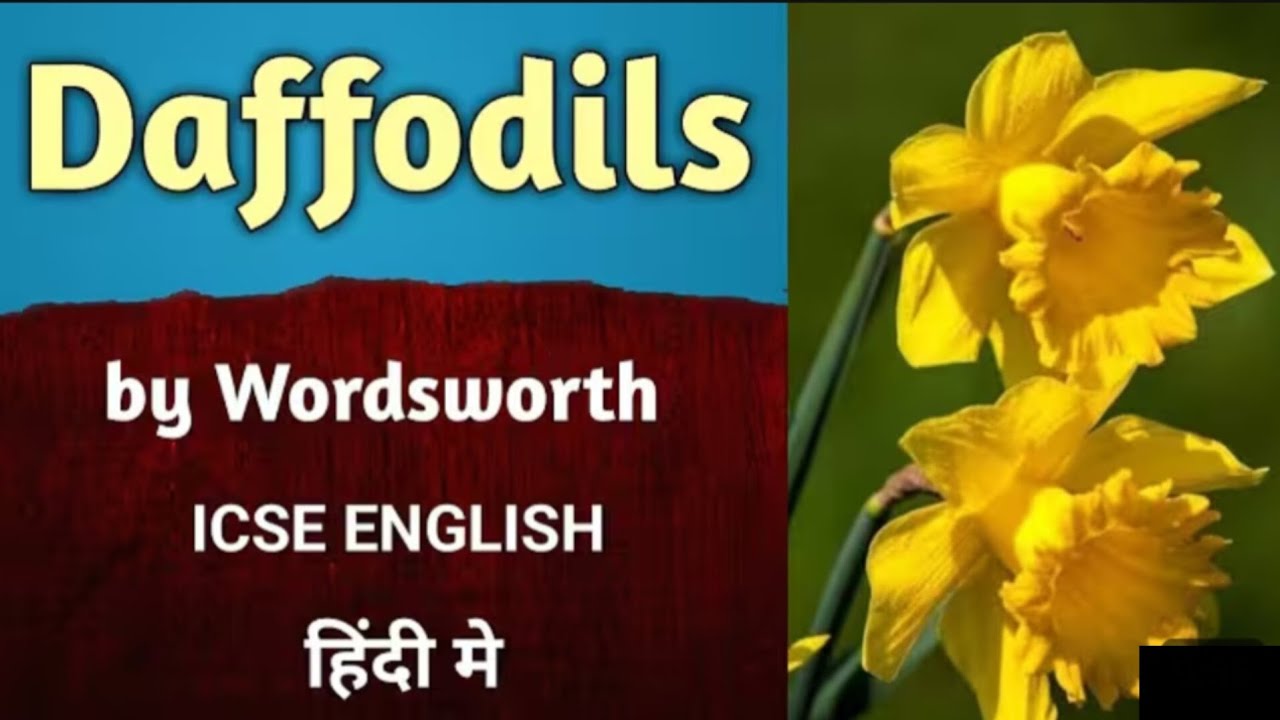 The Daffodils' Poem by William Wordsworth | English Insights Pro |  Unlocking the Beauty of Nature: