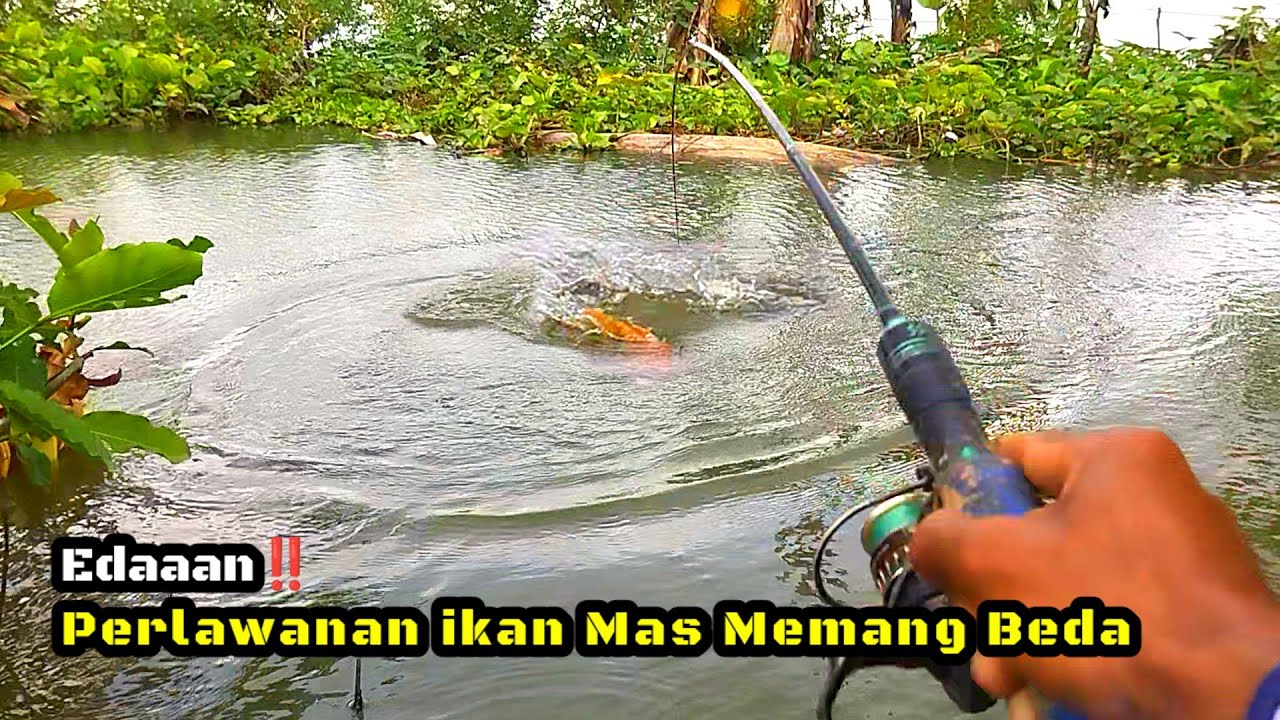 NGERI‼️IKAN LAGI HAUP HAUPNYA, TIBA TIBA CUACA BERUBAH BADAI #fishing #mancing