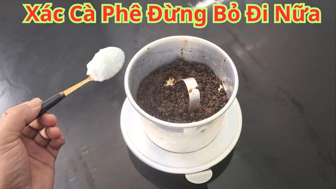 Hàng Triệu Người Uống Cà Phê Điều Vứt Bỏ Phần Xác Cà Phê Đi. Chỉ Cần Cho Long Não Vào Cà Phê