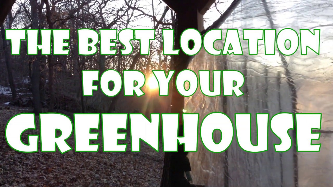 The Best Location for Your Greenhouse & Setup Tips 🏡