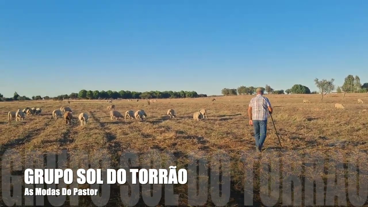 Grupo Sol Do Torrão - As Modas Do Pastor (Visualizer)