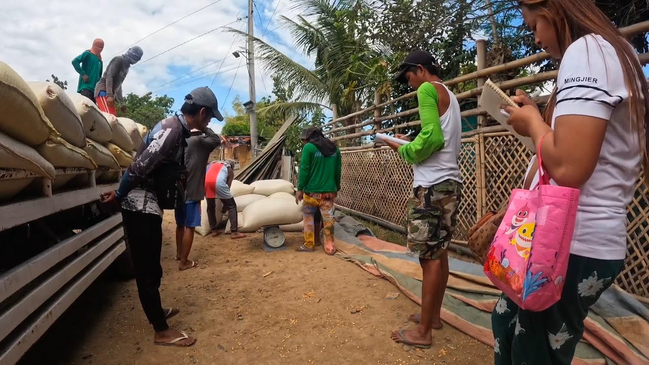 TOTAL EXPENSES SA FARM2 AT MAGKANO INABOT PINAGBENTAHAN SA MAIS