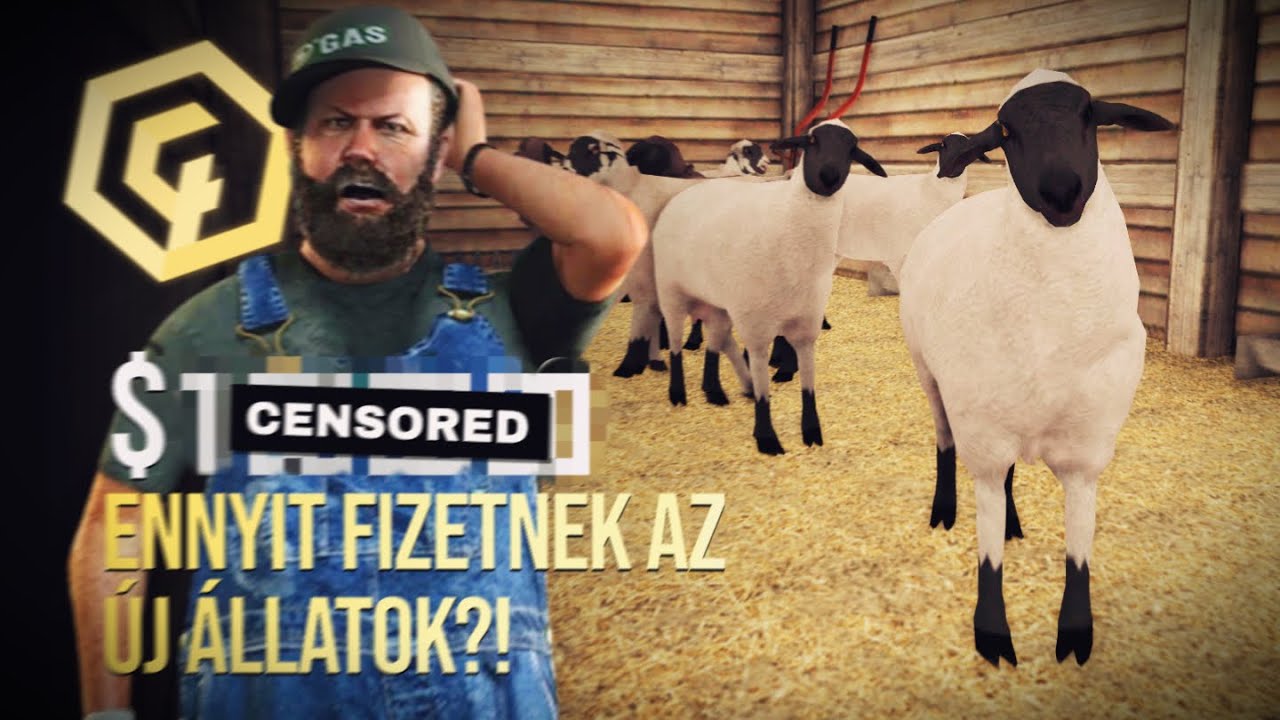 SeeMTA V4 LV | JUHOKBA van a PÉNZ!🐑 ENNYIT KERESTEM! #5