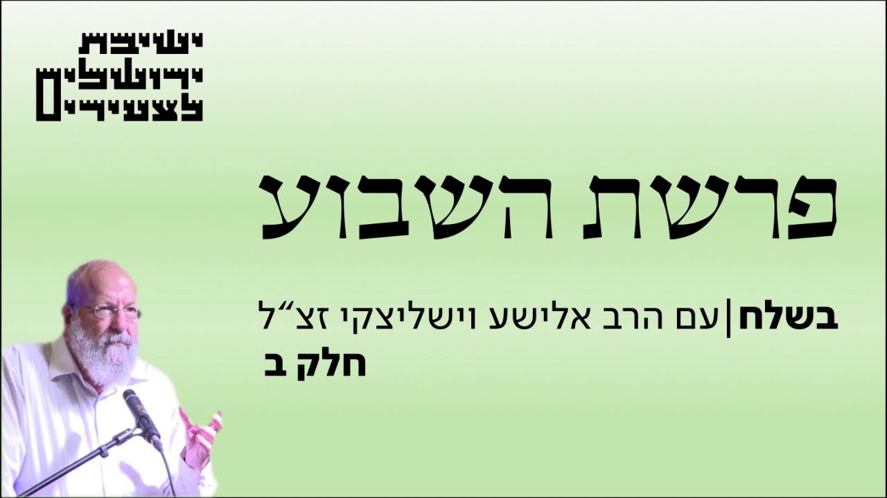 הרב אלישע וישליצקי זצ
