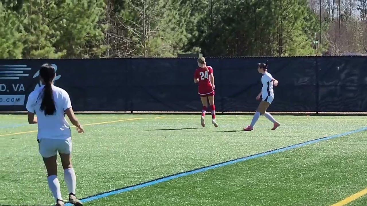 Jeff Cup Highlights 2025