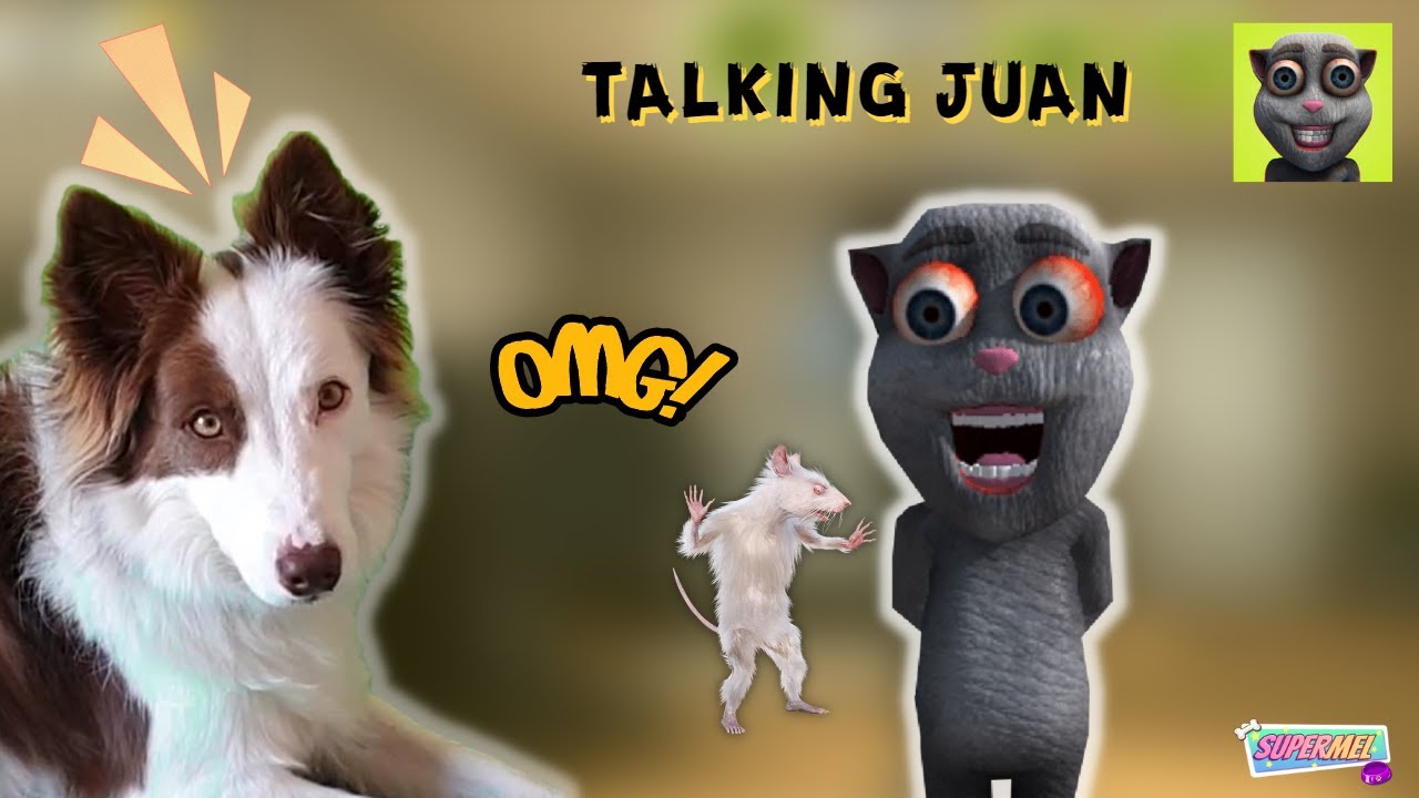 DESCUBRIMOS a Talking Juan ¿ES PELIGROSO? Mel Gamer