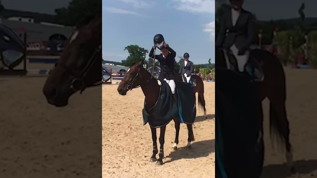 Sport Etudes Ludovic Leygue Équitation Rennes