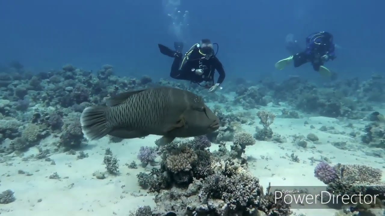 Bucanieri Sub a Sharm - Domina Coral Bay