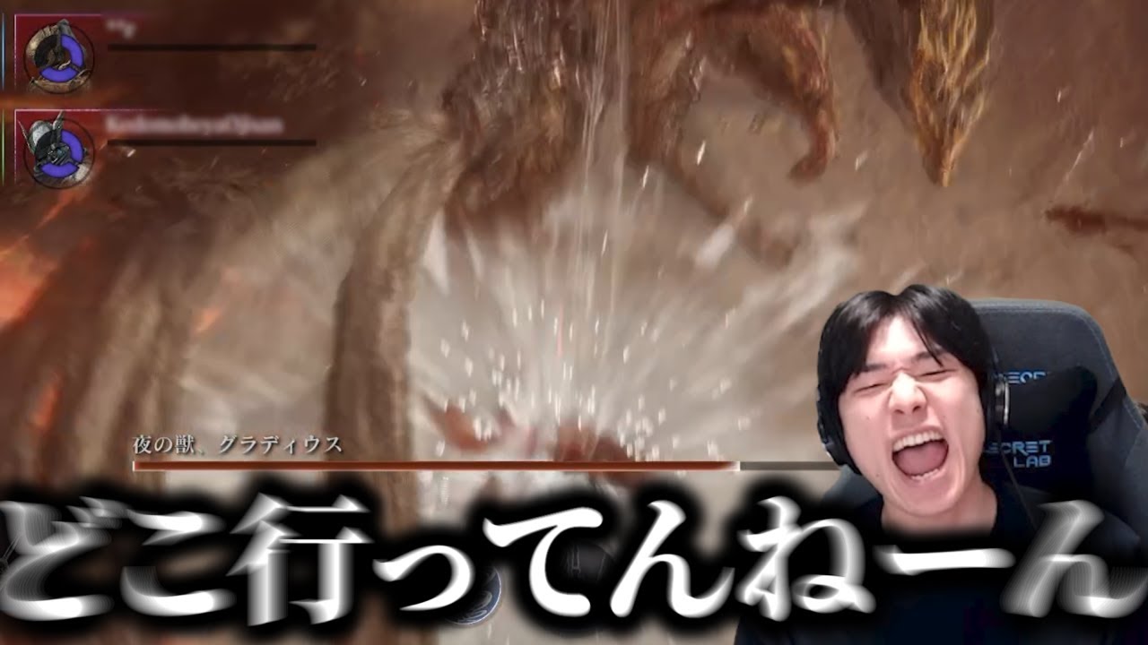 守護者の盾で何も守れない男 【エルデンリングナイトレイン】