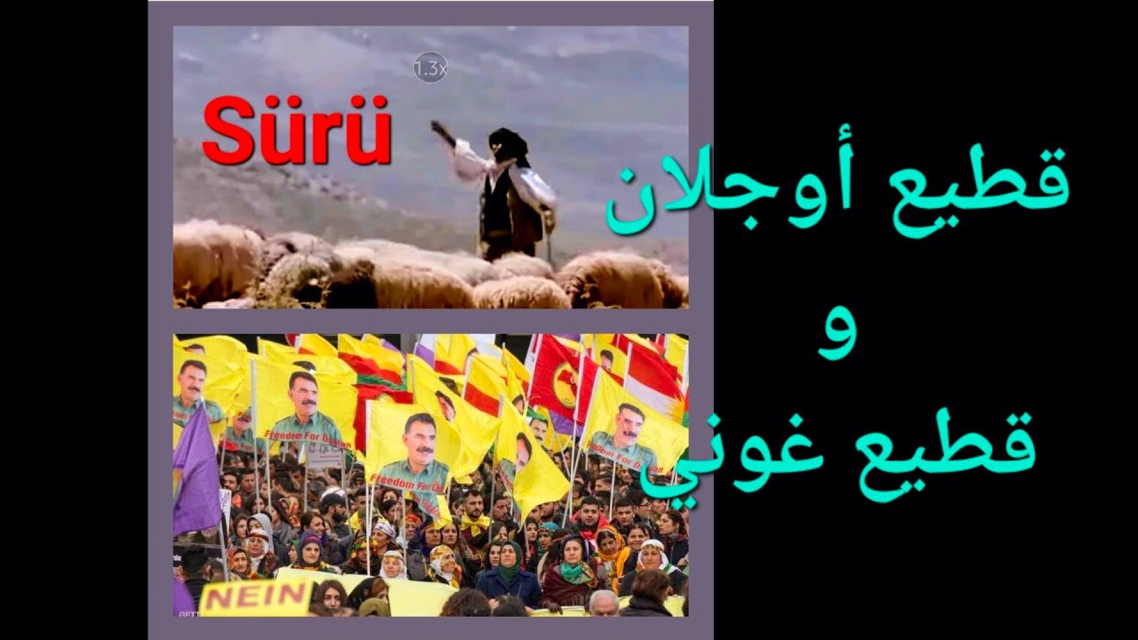 الفرق بين قطيع يلماز غوني وقطيع أوج-لان