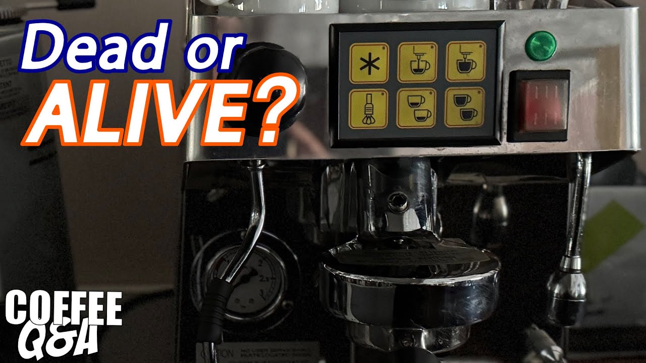 Fixing (Maybe) An E61 Espresso Machine - CQA 521