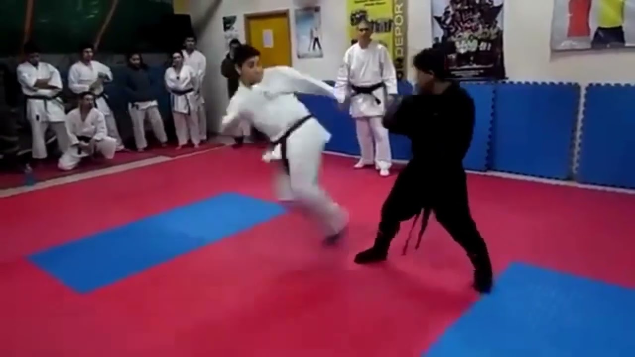 Epic Karate vs. Ninjutsu Sparring Match | Who Will Reign Supreme? Mcdojo