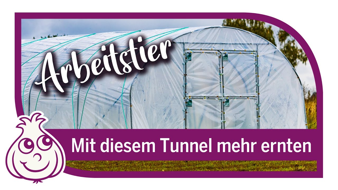 Neuer Folientunnel für unseren Saatgut Hof