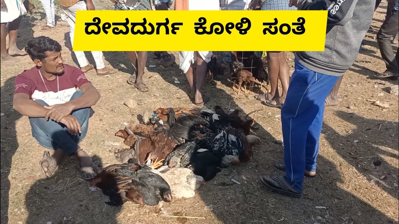 ದೇವದುರ್ಗ ಕೋಳಿ ಸಂತೆ | Devadurga chicken matket |
