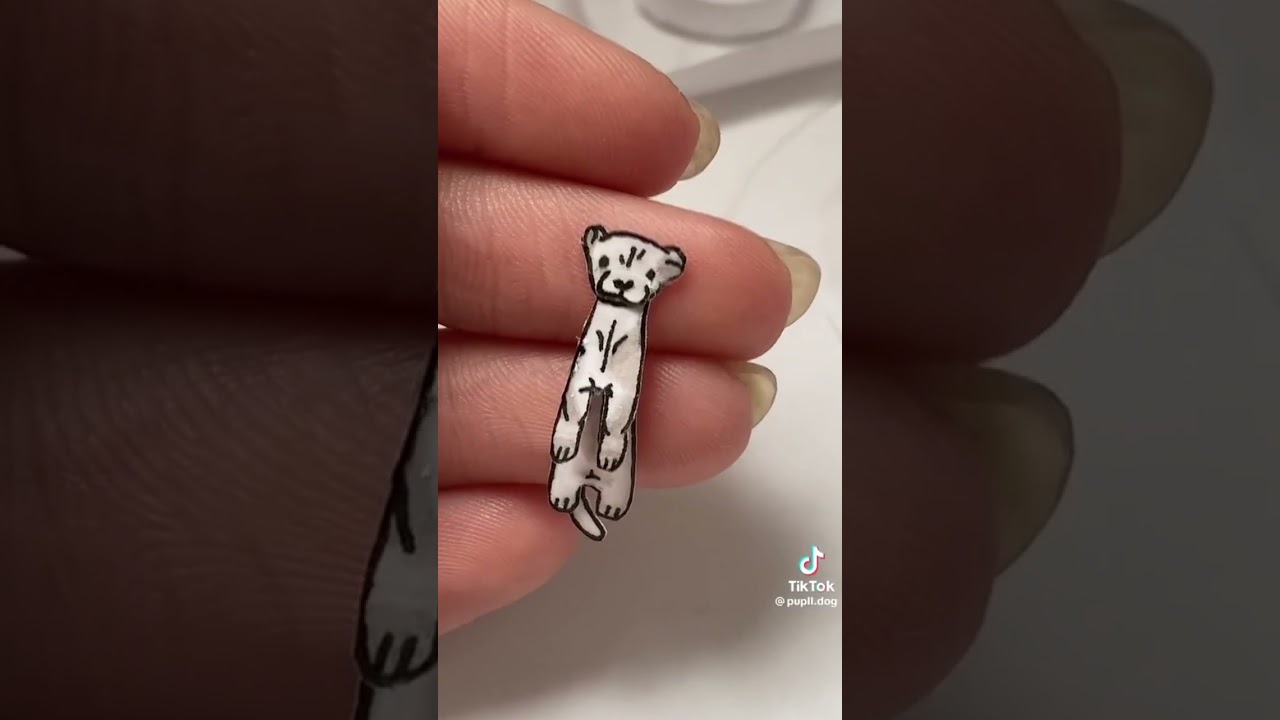 Бумажные собачки из тик тока все самые свежые