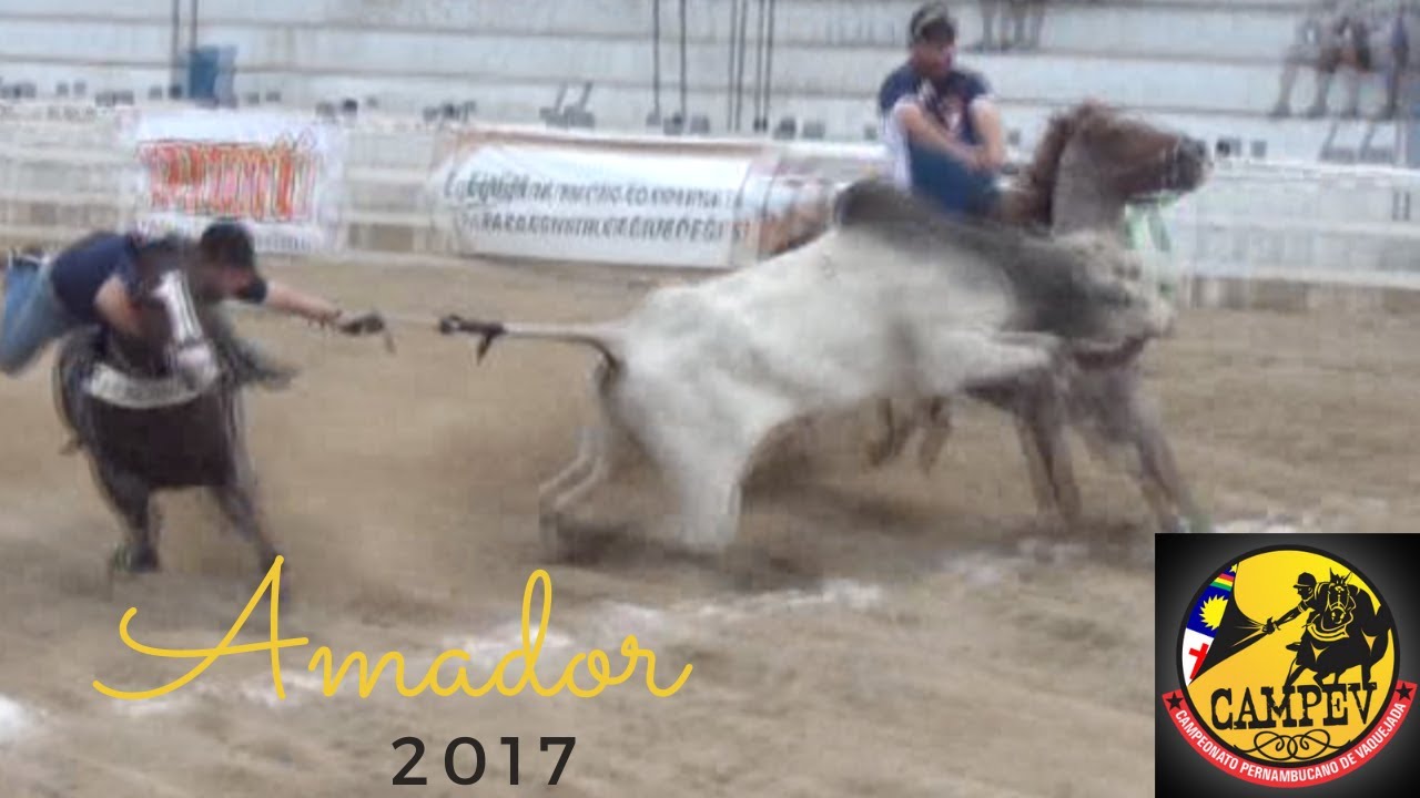 PQ J Galdino CAMPEV Amador 2017