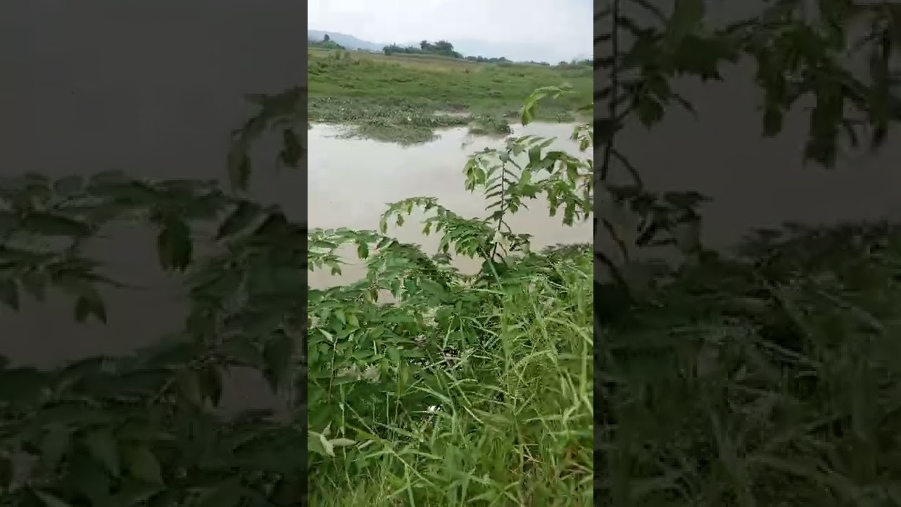 2nd update Ng ating video at sorry na cut follow q na din ung isang short video salamat.