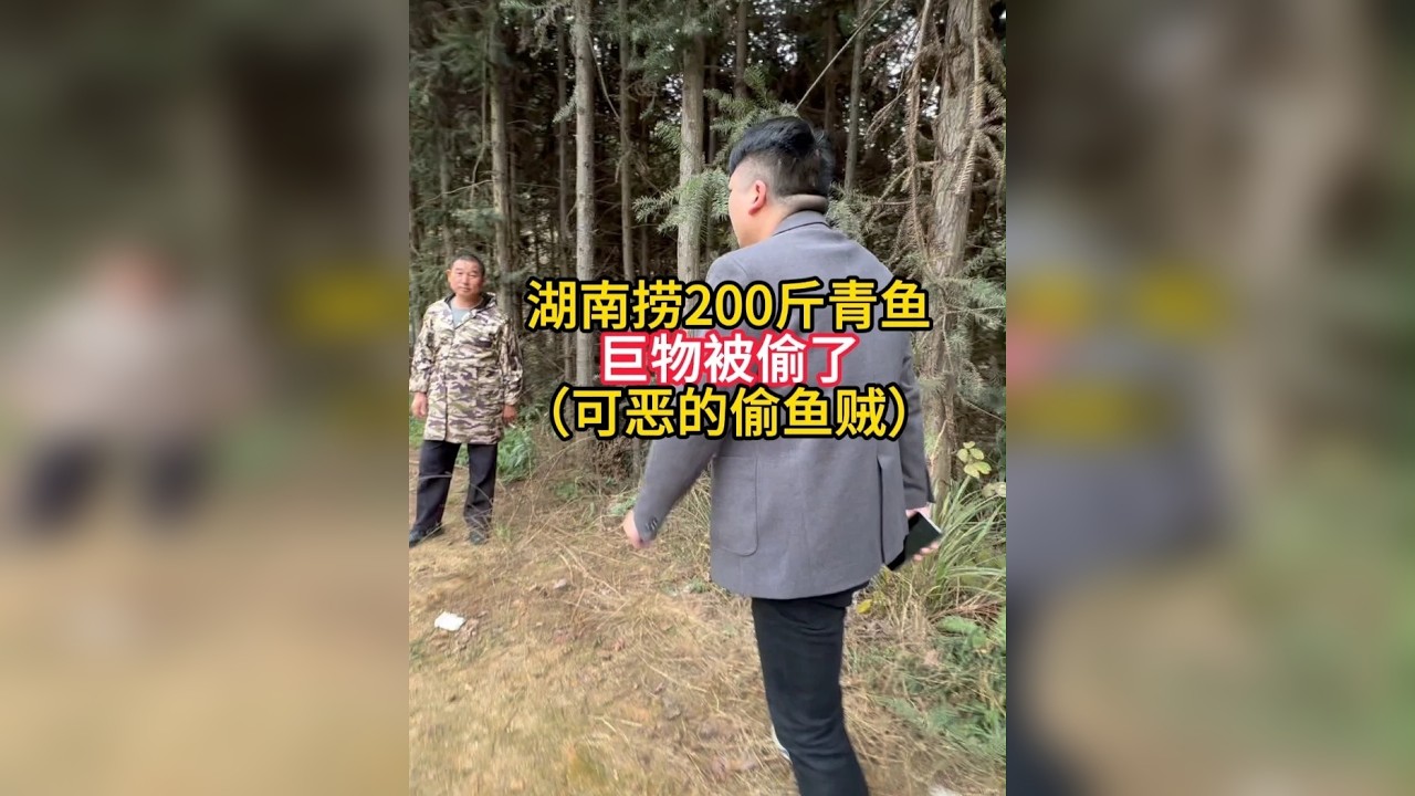 湖南捞200斤鱼，令人惋惜的结局