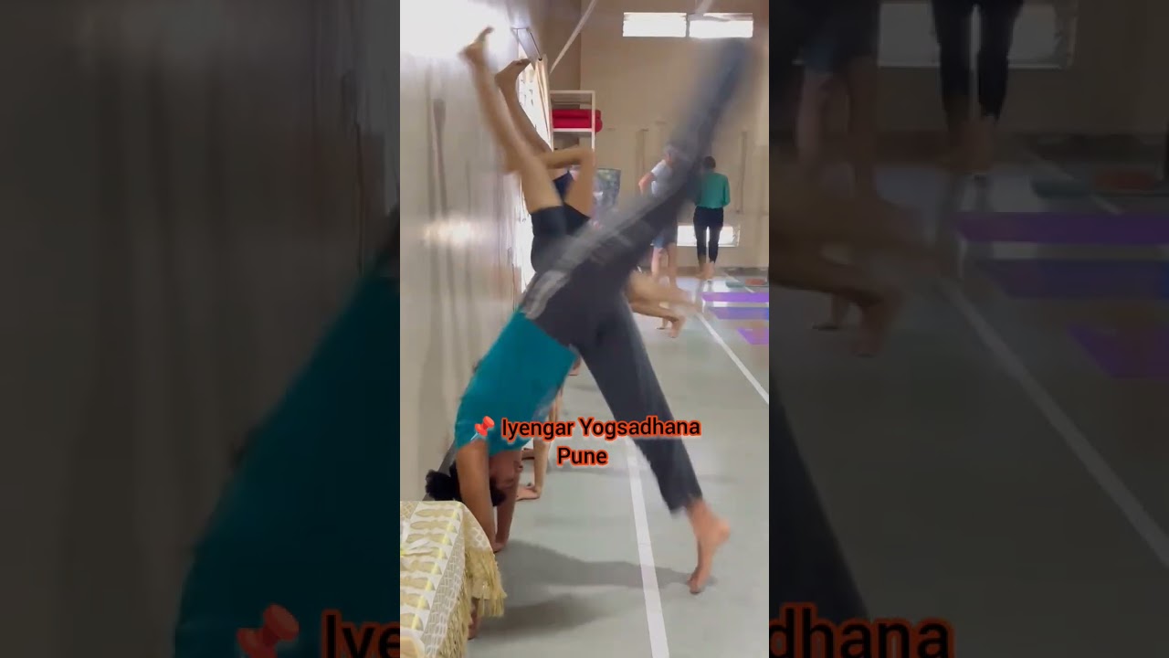 Every day is Yoga Day. Different fun International Yoga Day 2025  #iyengaryogsadhana