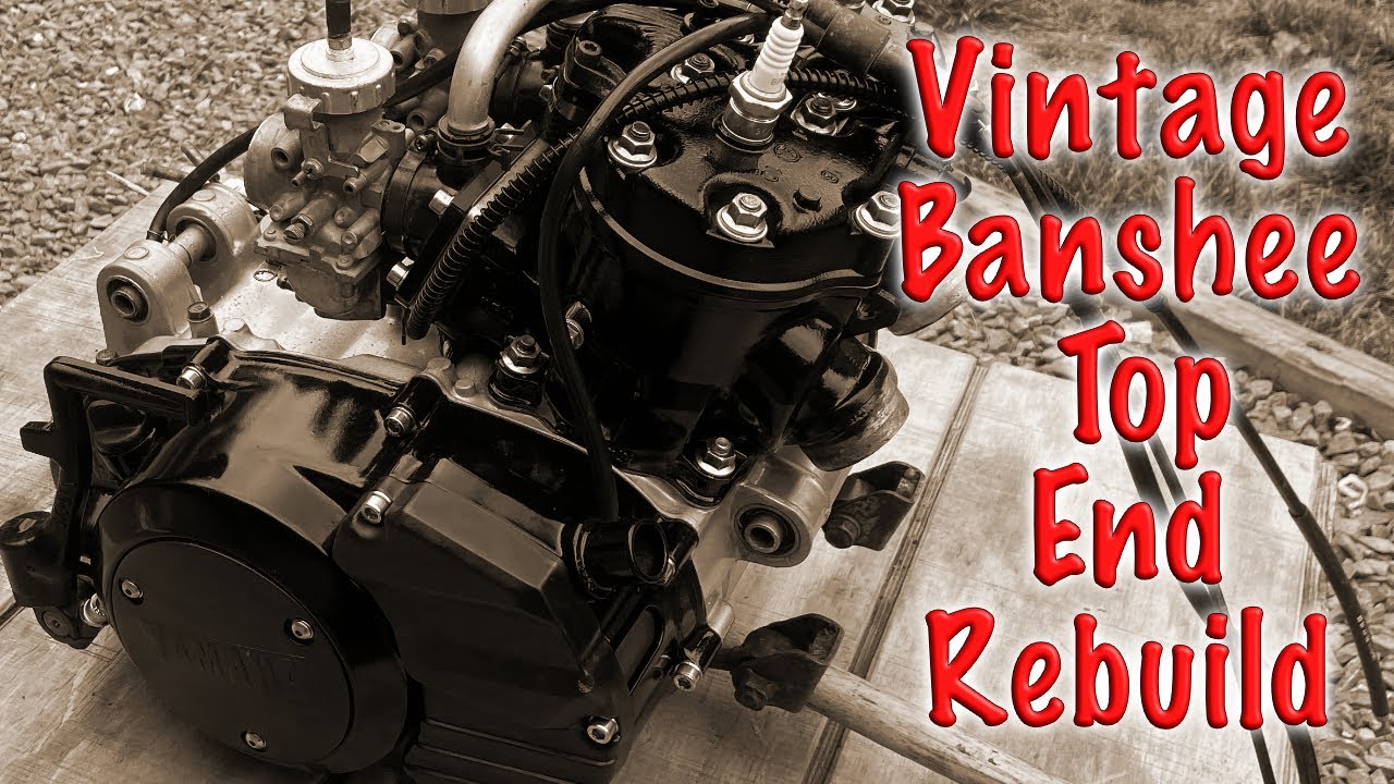 Vintage Banshee Niche or Oem Cylinders Leak Down 1992