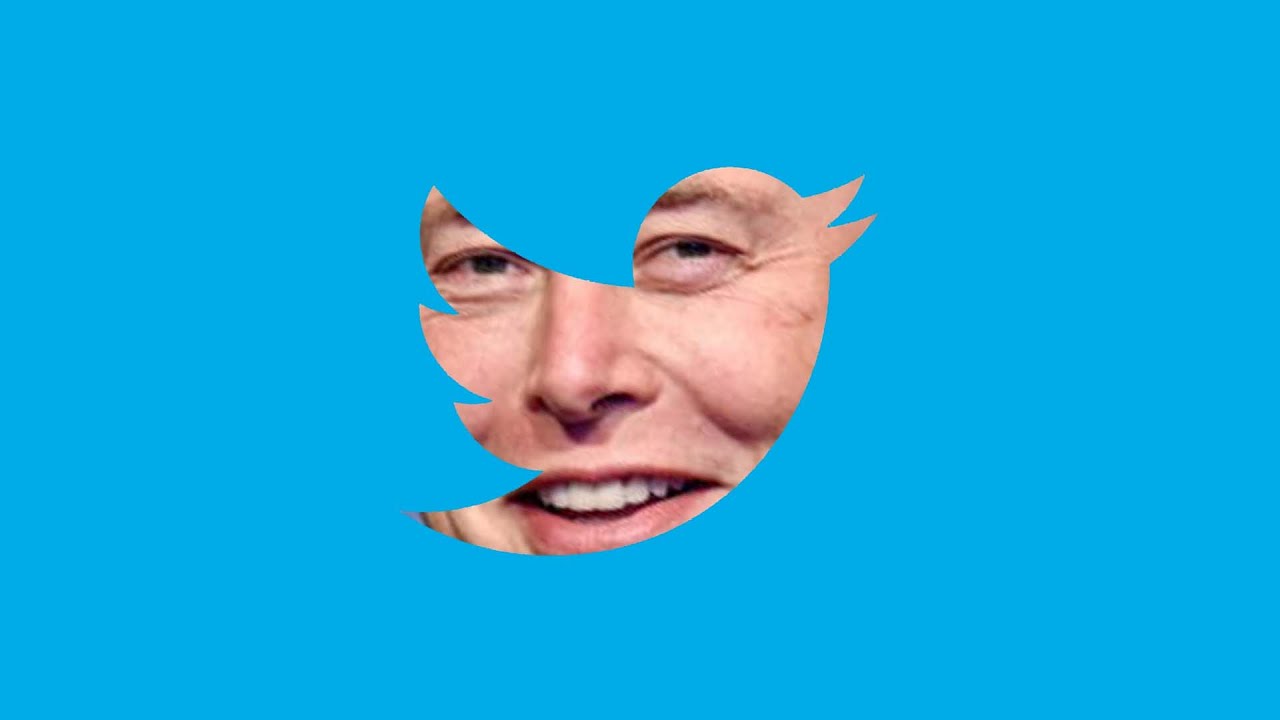 ELON HA *quasi* COMPRATO TWITTER - COSA DEVI SAPERE.