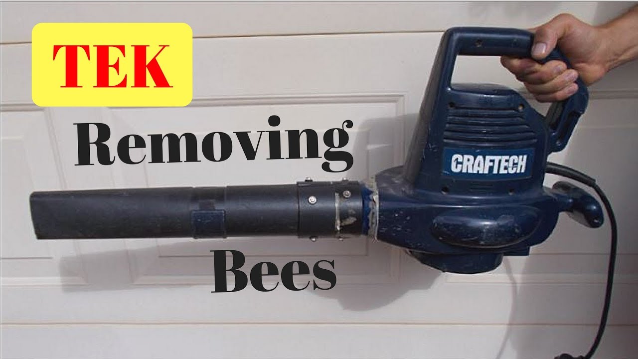 2.2 Removing the 
