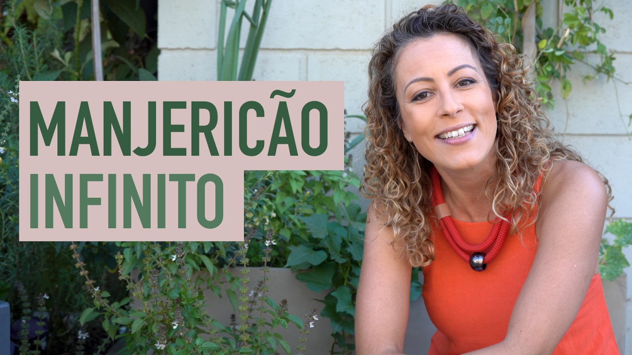 Como PLANTAR MANJERICÃO em VASO e cuidar pra ter SEMENTES