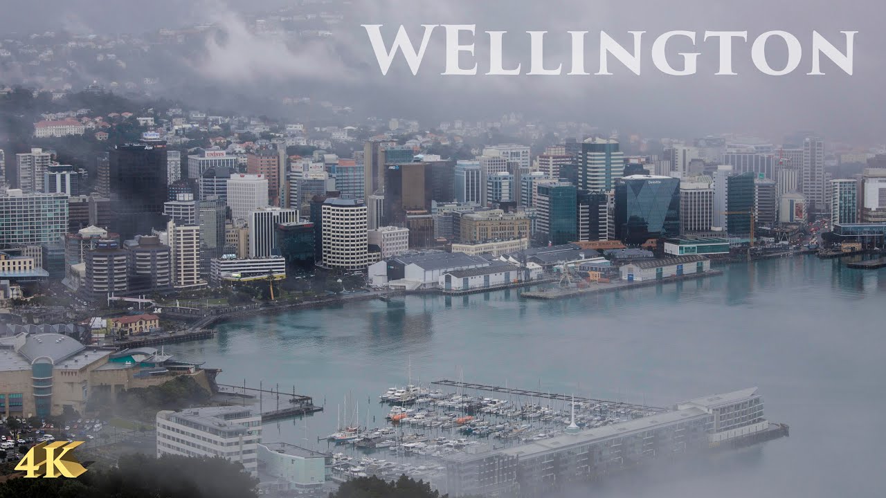 Wellington Drive | Rainy Day | City Centre to Mt Victoria Lookout | New Zealand Walking Tour 4K 2021
