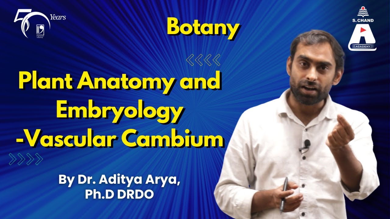 Plant Anatomy and Embryology - Vascular Cambium | S Chand Academy