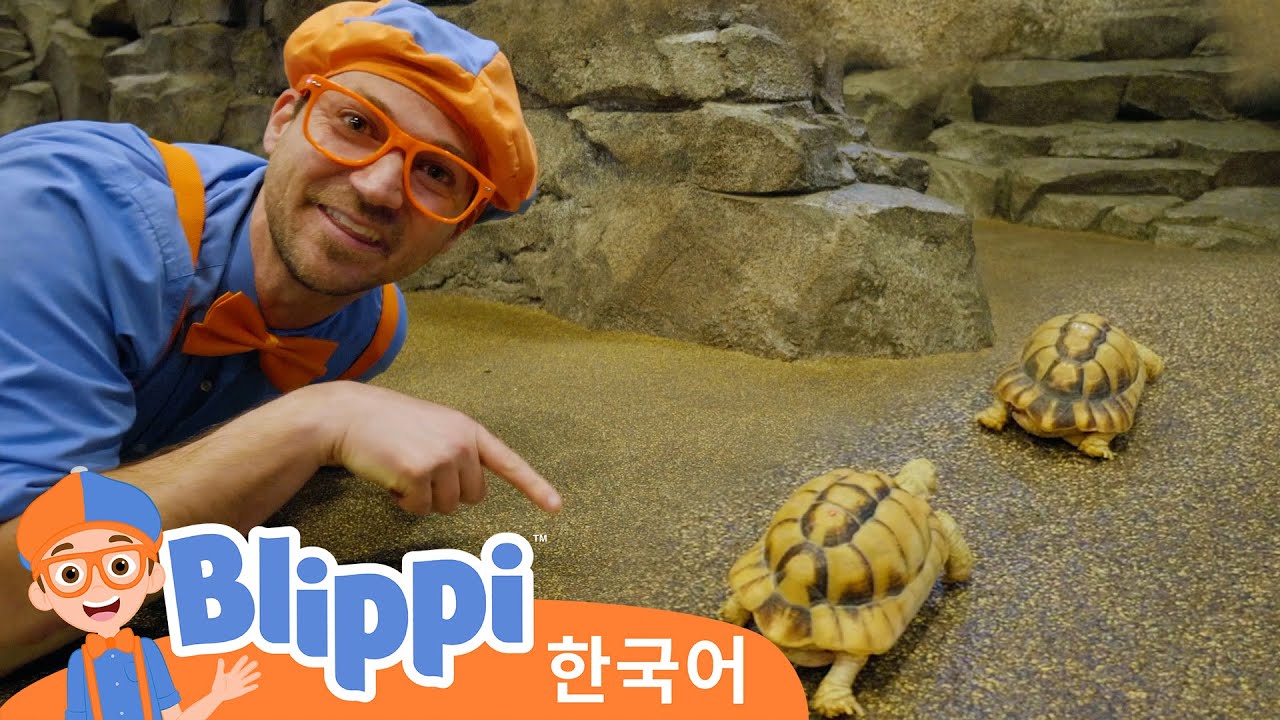 블리피와 동물원에서 동물들에게 먹이 주고 놀기・블리피 한국어 | 어린이 교육 동영상