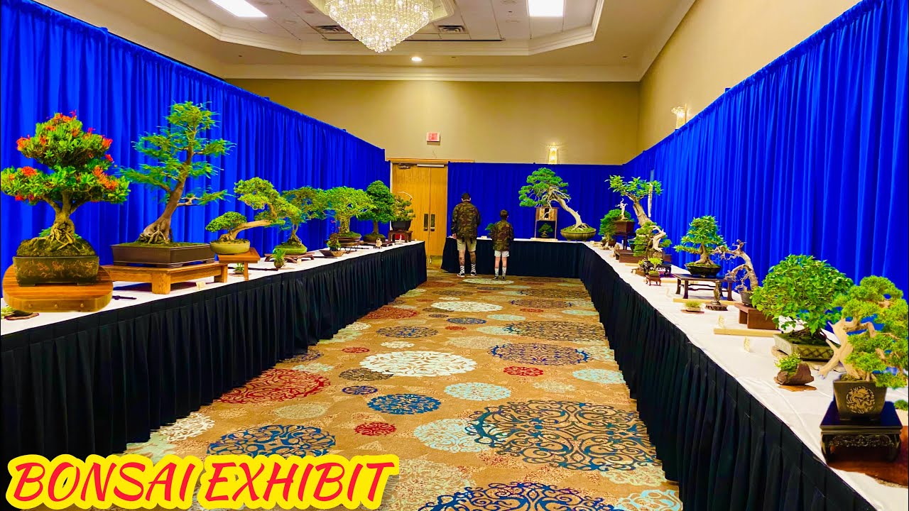 BONSAI EXHIBIT Bonsai Societies of Florida 2023
