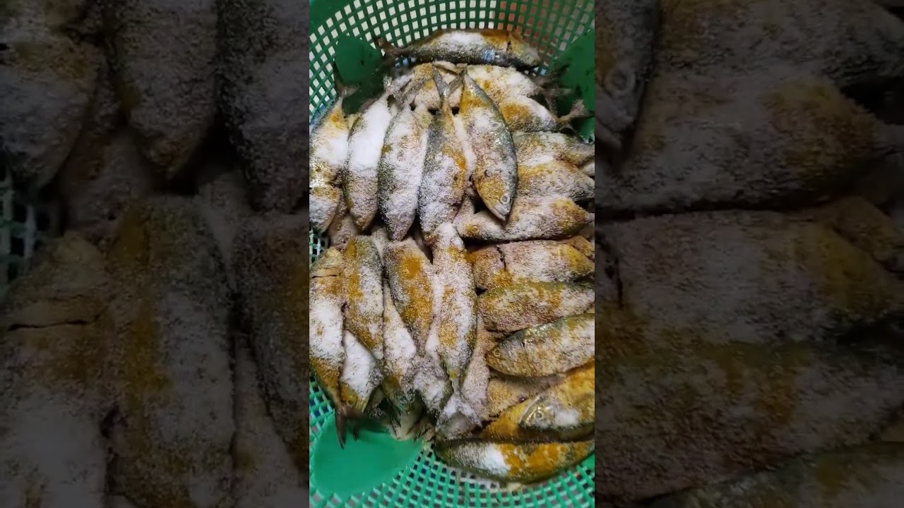 #Process of making Dry fish | Recipe of making Dry fish 🐟🐟🐟🐟🐟🐟🐟🐟🐟🐟🐟🐟🐟🐟🐟🐟🐟🐟🐟🐟🐟🐟🐟
