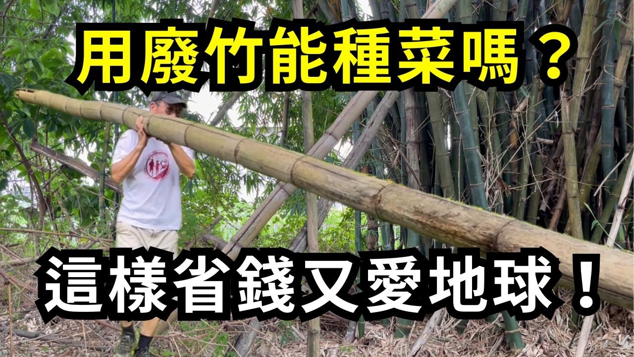 用廢竹能種菜嗎?從麻竹林砍老竹DIY種竹筒菜，製作竹器盆栽種菜方法分享，不花錢打造小菜園，實現自然廢棄物資源再利用的價值| 阿星種植
