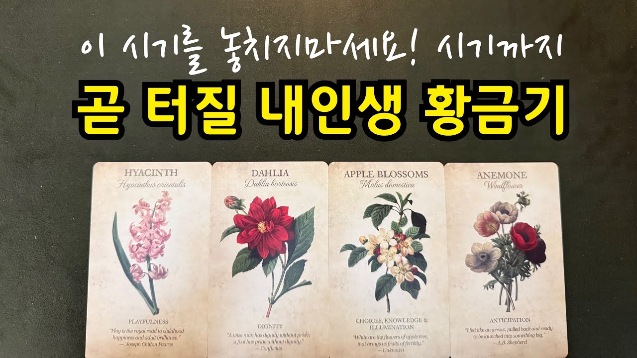 타로-곧 터질 내인생 황금기🌟시기까지