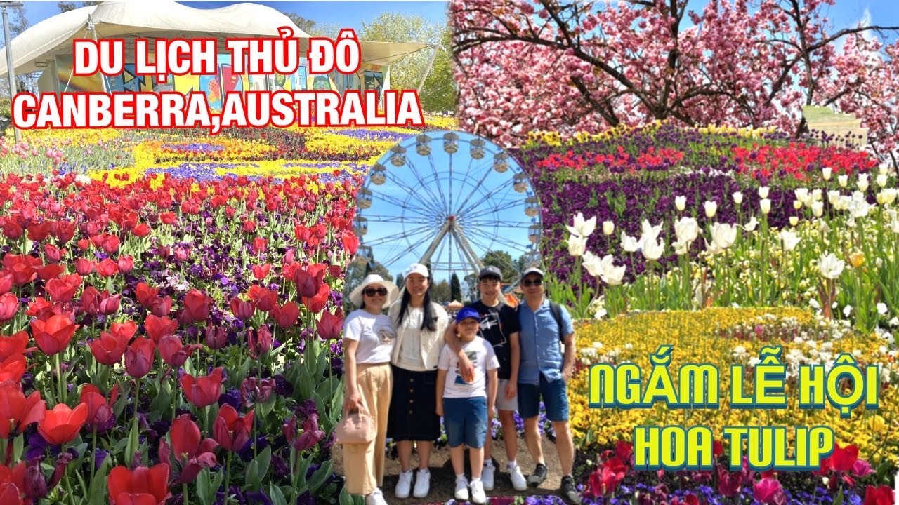 🇦🇺Du lịch ở Úc || GHÉ THĂM THỦ ĐÔ CANBERRA,NGẮM VƯỜN HOA TULIP TUYỆT ĐẸP,VIỆN BẢO TÀNG,NHÀ QUỐC HỘI