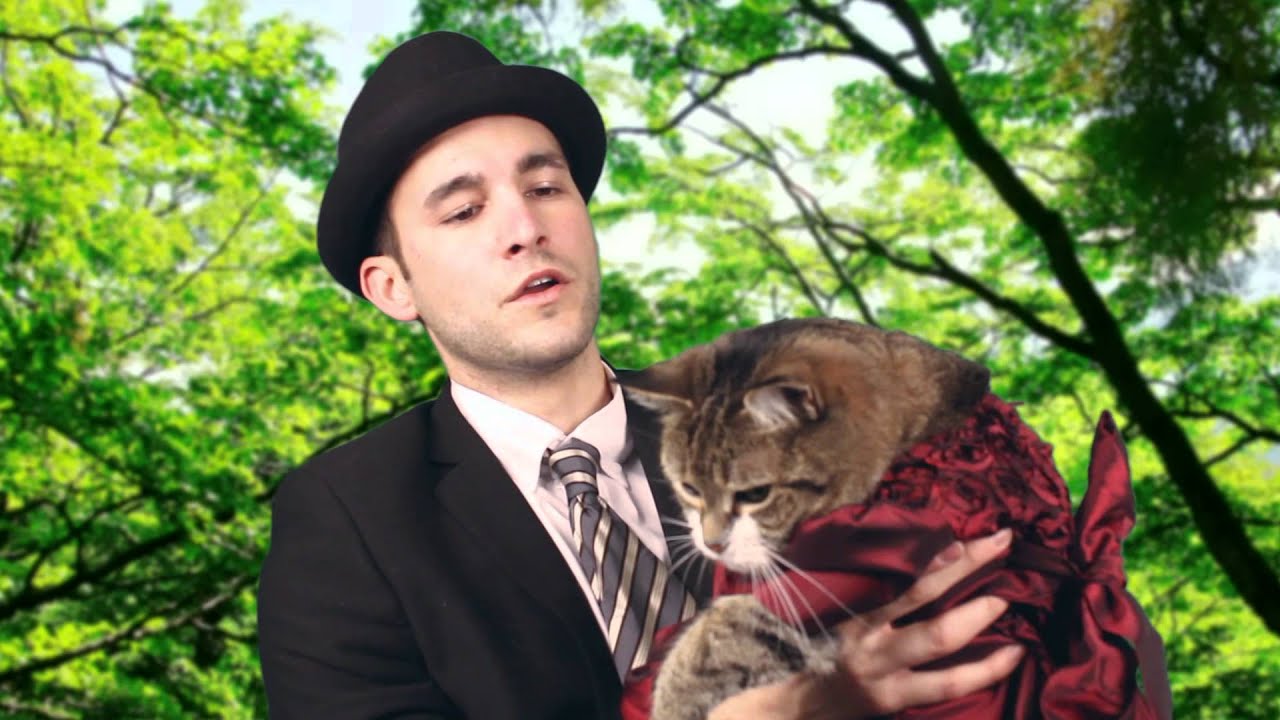 Catsterpiece Classics Presents - Downton Tabby