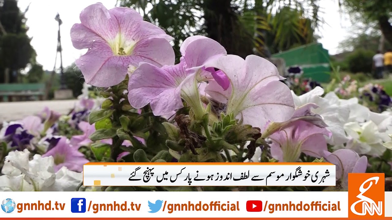Gujranwala Weather Update Today l 30 April 2019
