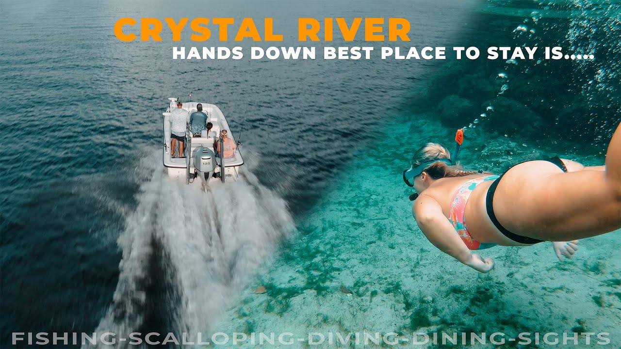 The ABSOLUTE Best way to experience Crystal River, Fl as a boat owner….