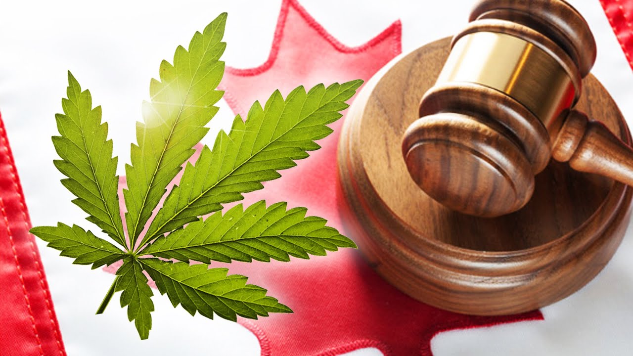 Marijuana Laws in Canada: What Do They Mean?